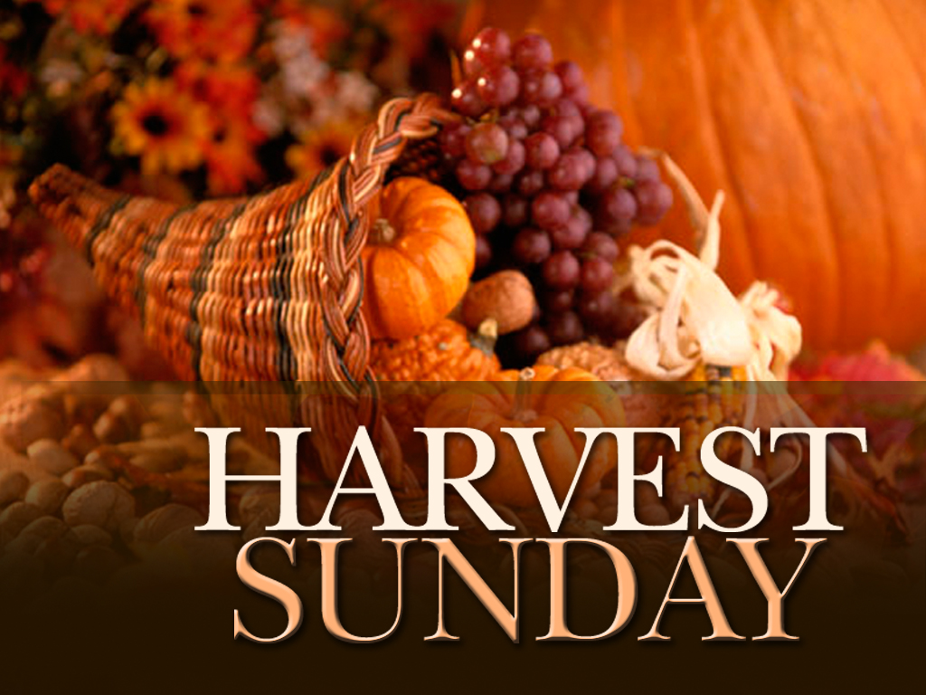 Harvest Sunday_0